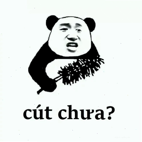 meme cút ngay