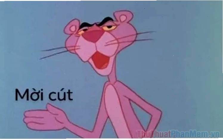 meme cút ngay đi
