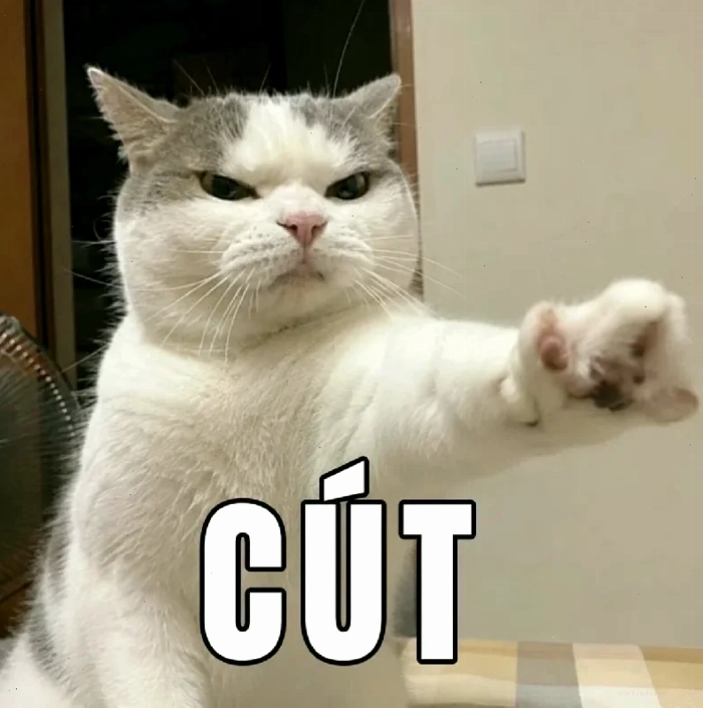 meme cút ra ngoài