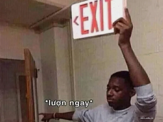 meme cút xéo hài