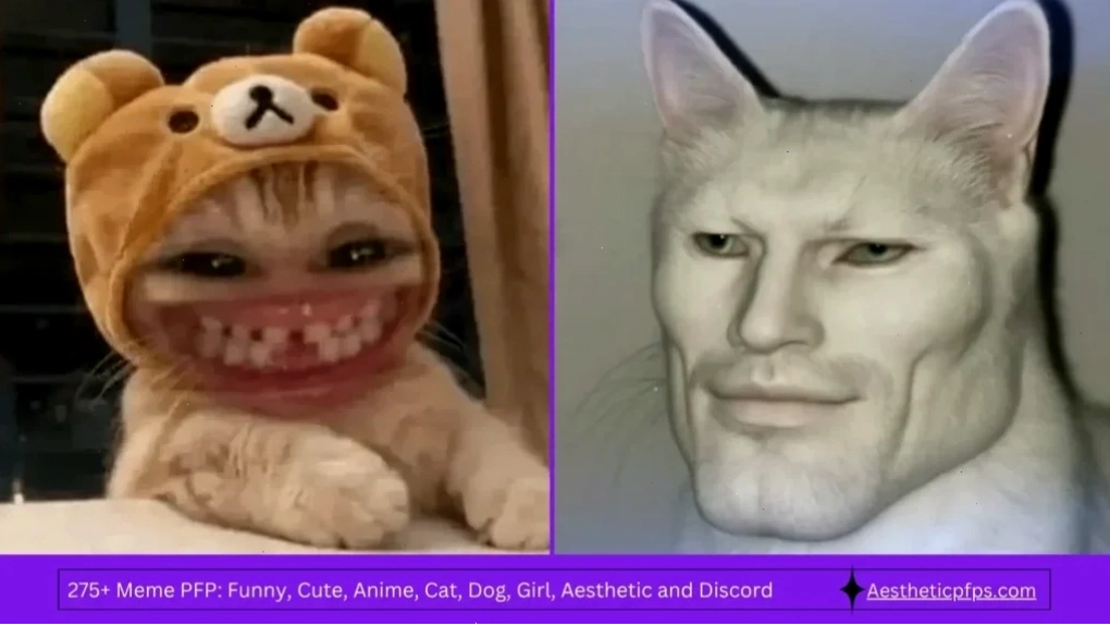 meme cute face cười lớn