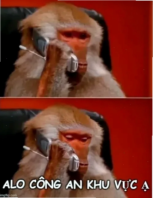 Meme đã báo công an