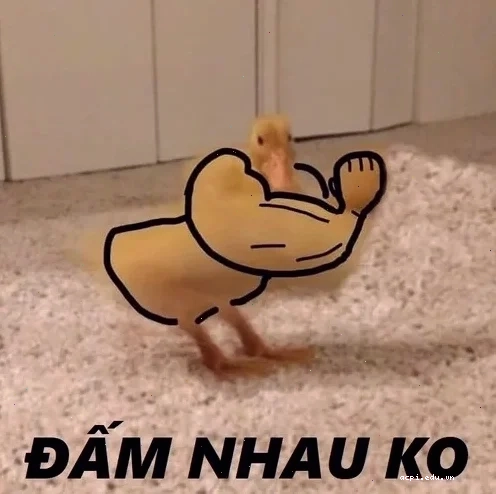 meme đám ma gây tranh cãi