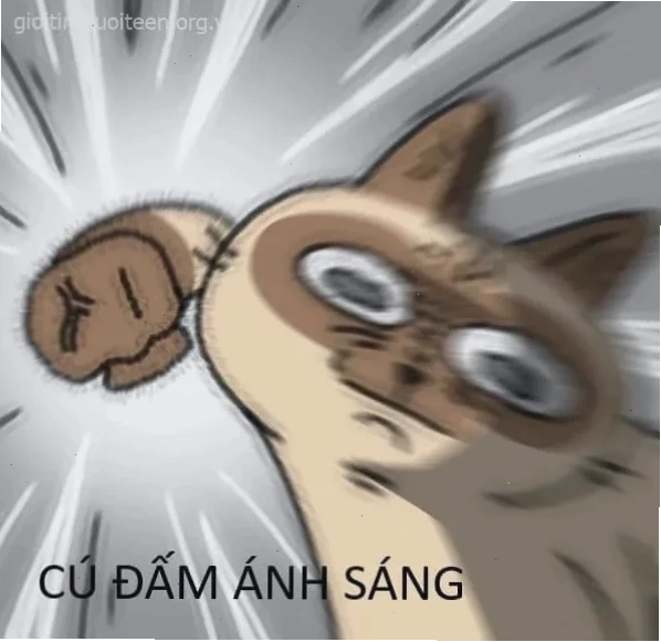 meme đám ma nghịch lý