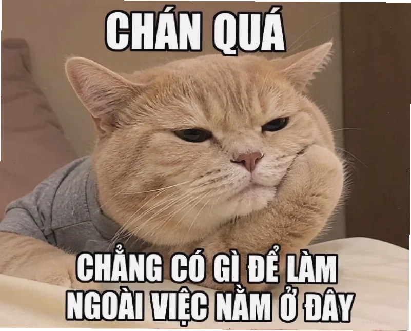 meme đám ma remix
