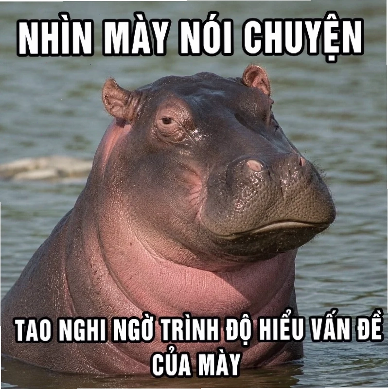 meme đám ma rơi quan tài