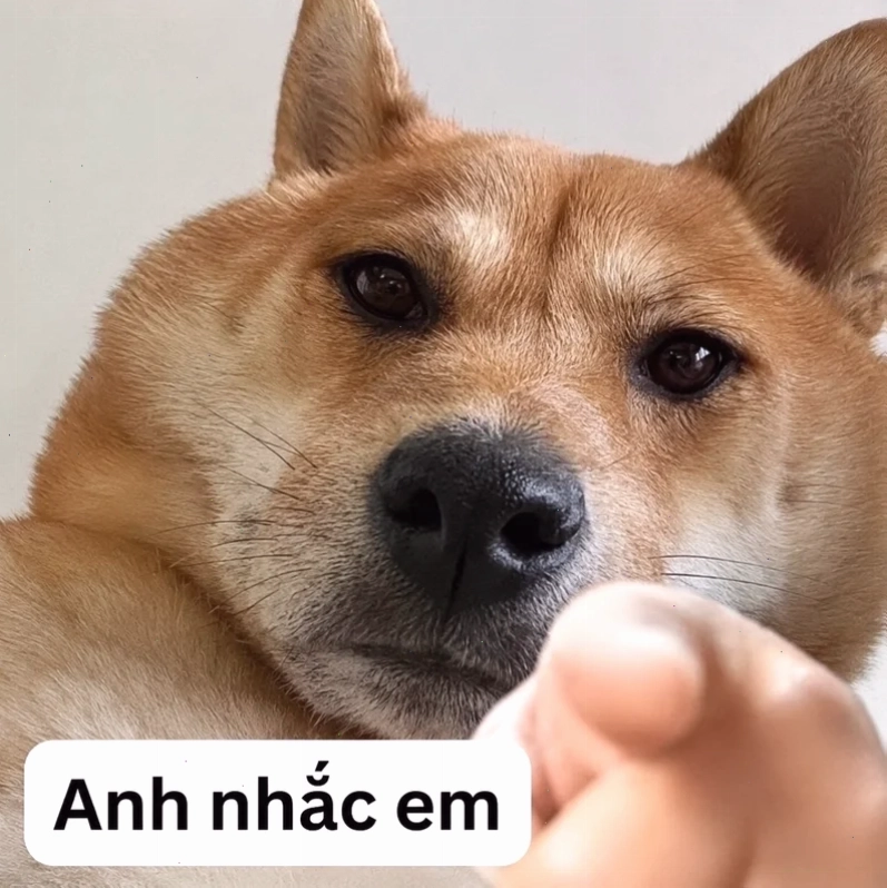 Meme đánh giá dễ chia sẻ