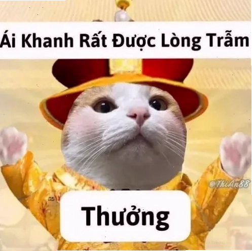Meme đánh giá mang phong cách hài hước