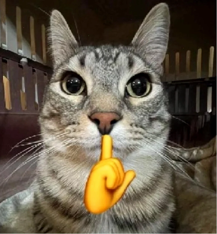 Meme đánh giá nụ cười khinh khỉnh