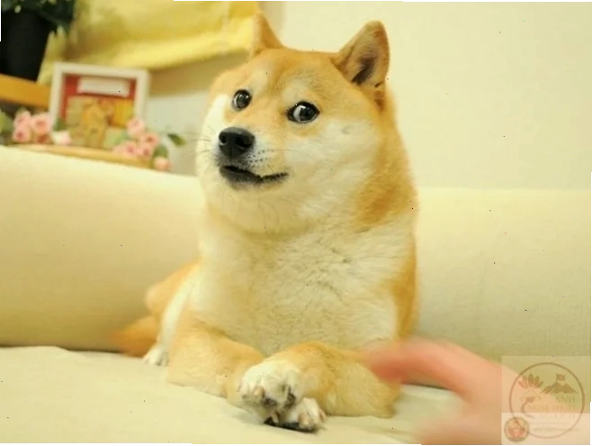Meme đánh giá sâu cay