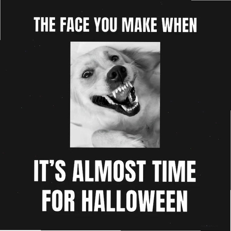 meme dark trẻ em mù