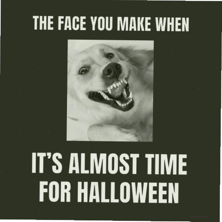 meme dark trẻ em mù