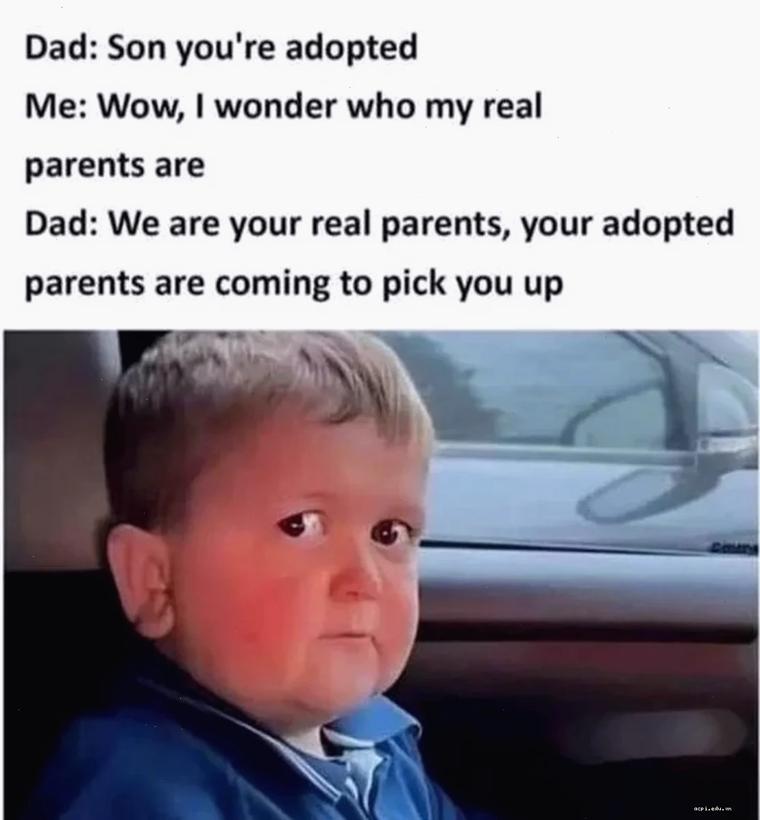 meme dark về người nhện