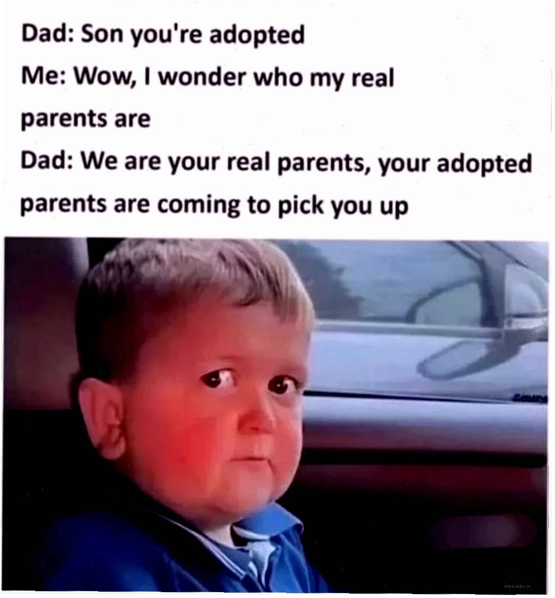 meme dark về người nhện