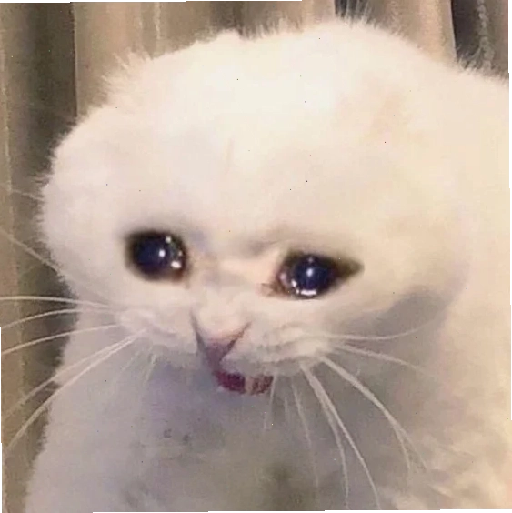 meme đau đớn đầy bất lực