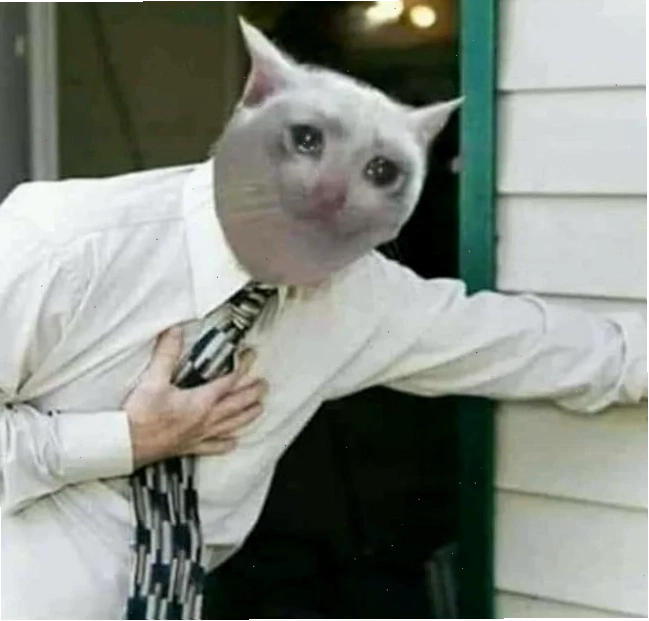 meme đau đớn độc đáo