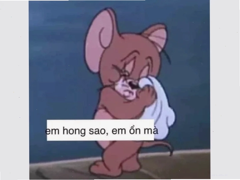 meme đau đớn hài