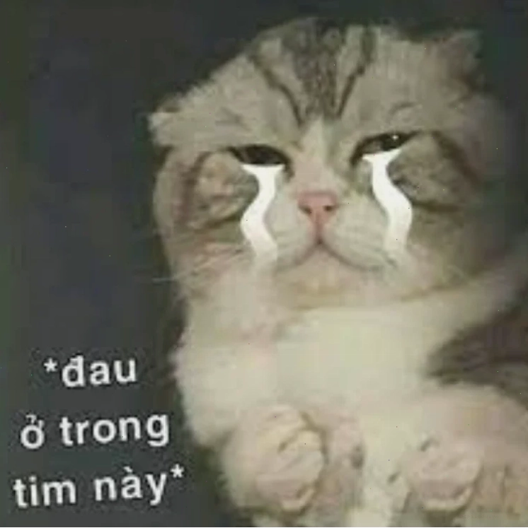 meme đau đớn khi làm việc