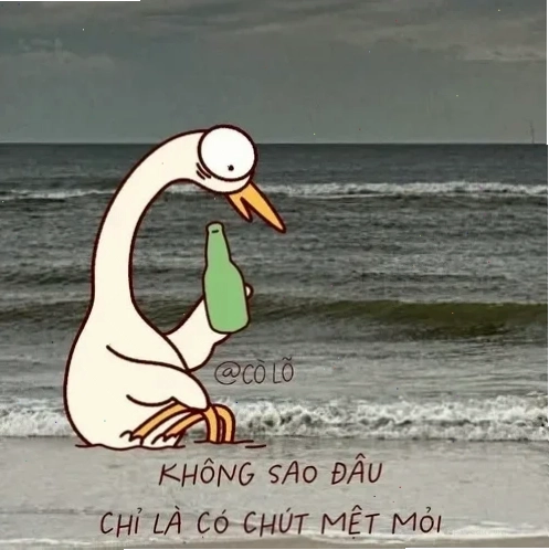 meme đau đớn sáng tạo