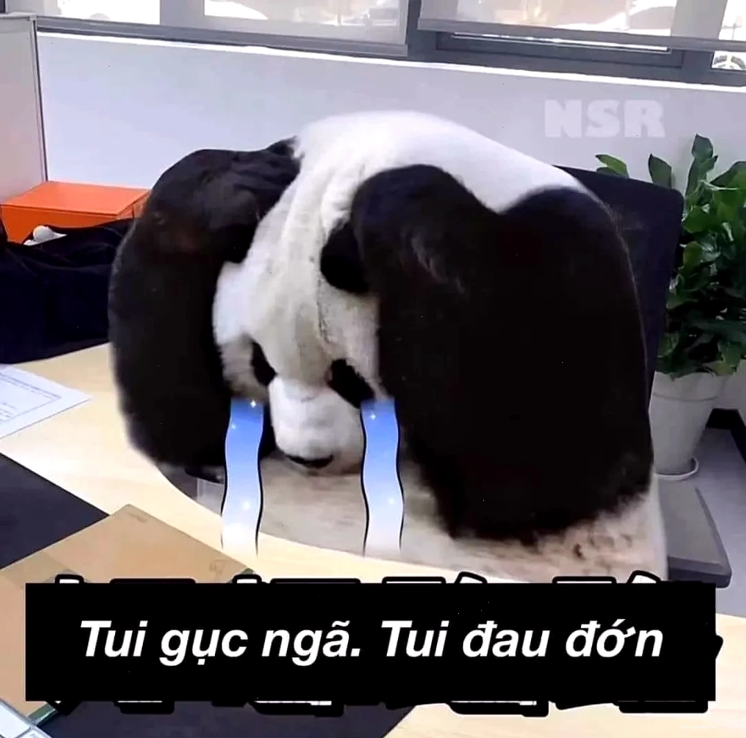 meme đau đớn tan vỡ