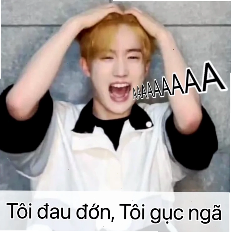 meme đau đớn thảm họa