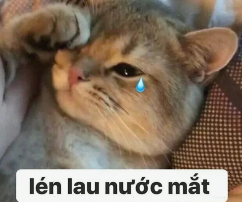 meme đau đớn vui nhộn