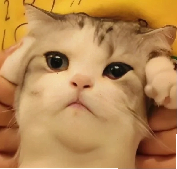 meme đau đớn vui vẻ
