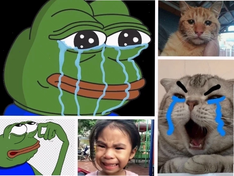 meme đau khổ cạn năng lượng