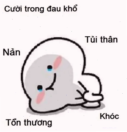 meme đau khổ gục ngã trước áp lực