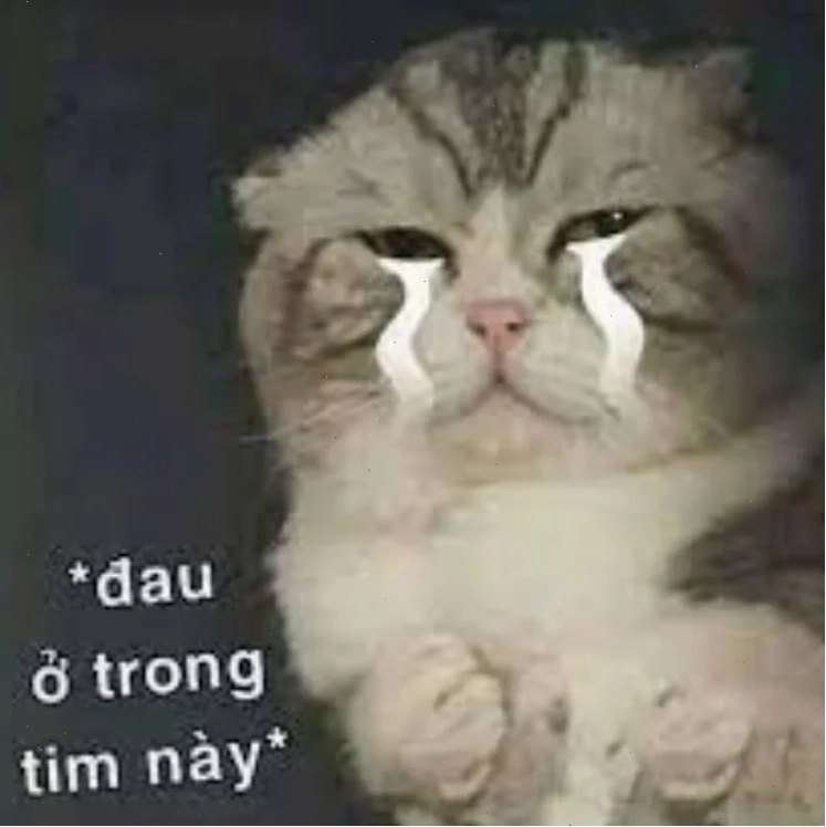 meme đau khổ hài hước khi bị bồ đá