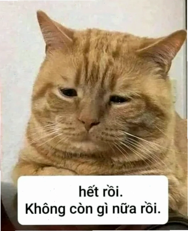meme đau khổ pha ngốc nghếch