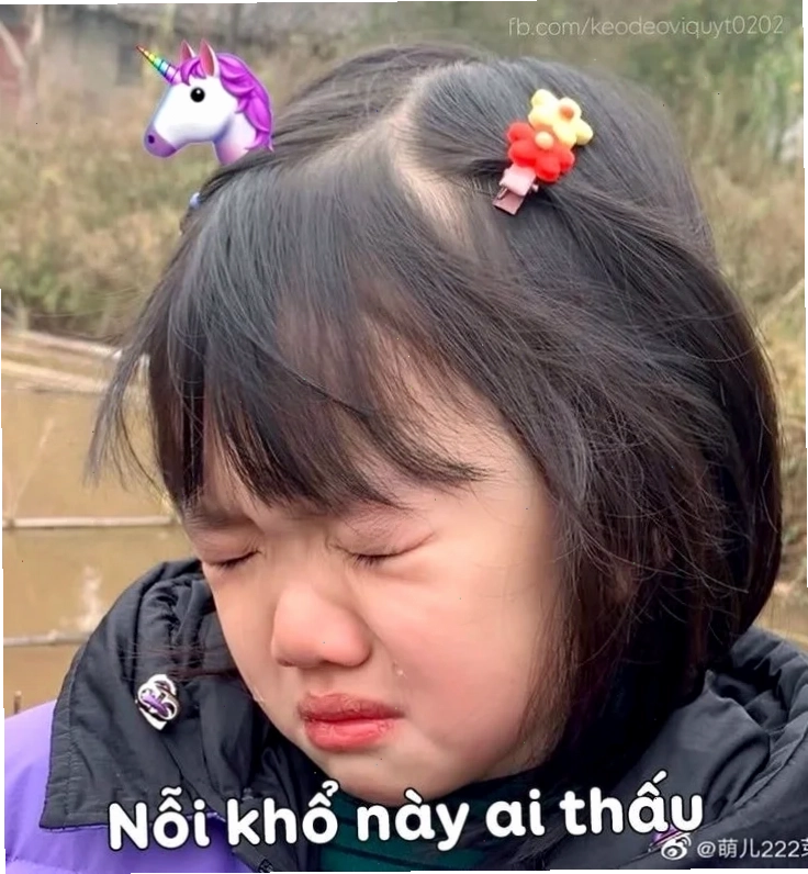 meme đau khổ tổng hợp