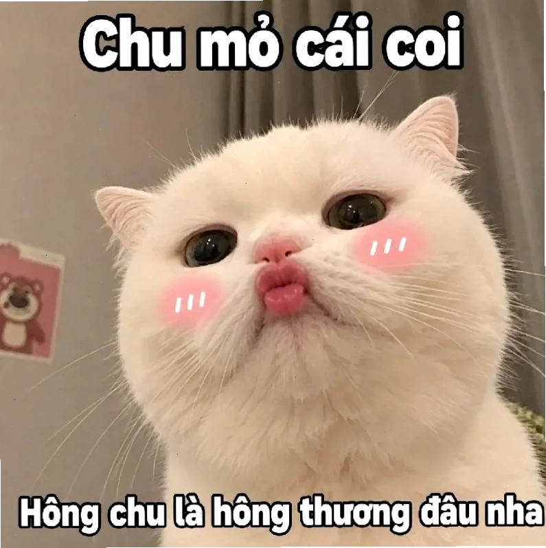meme đau tim khi bị từ chối
