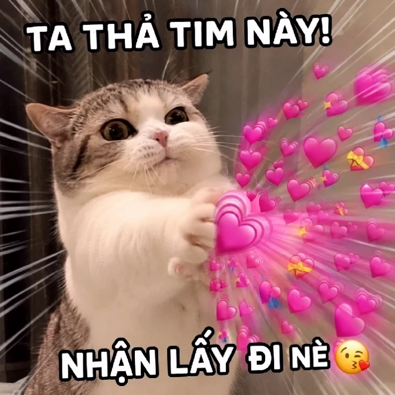 meme đau tim khi hỏng mạng