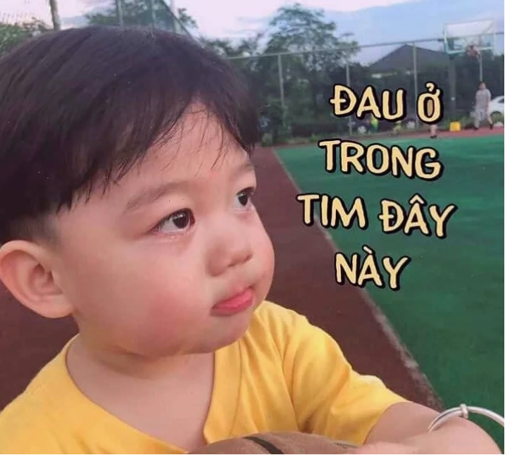 meme đau tim khi hỏng máy tính