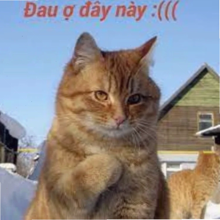meme đau tim khi mua đồ online