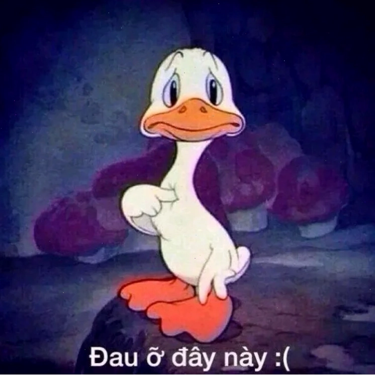 meme đau tim vì hết tiền