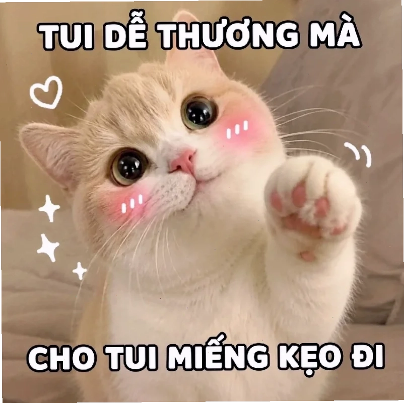 Bé cưng chơi đùa meme dễ thương bé nhỏ