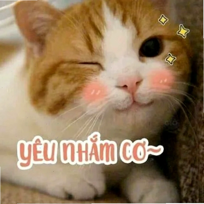 Cún tươi cười meme dễ thương chó cười