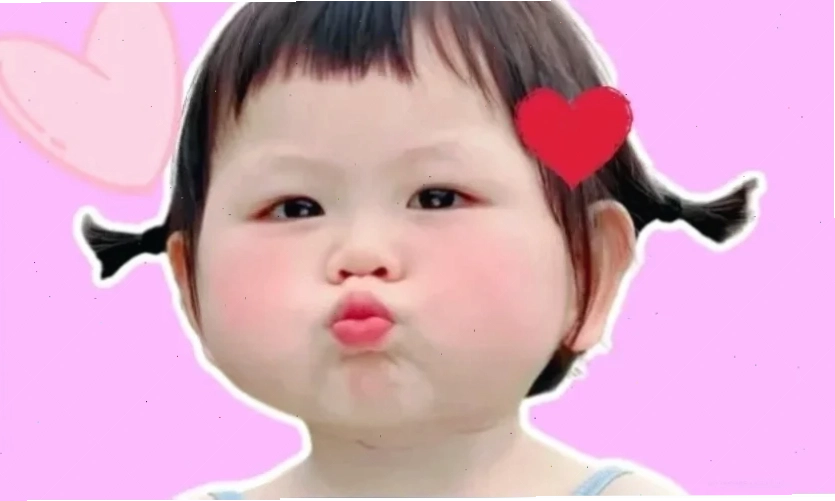 Chó ngáo ngơ meme dễ thương chó ngáo