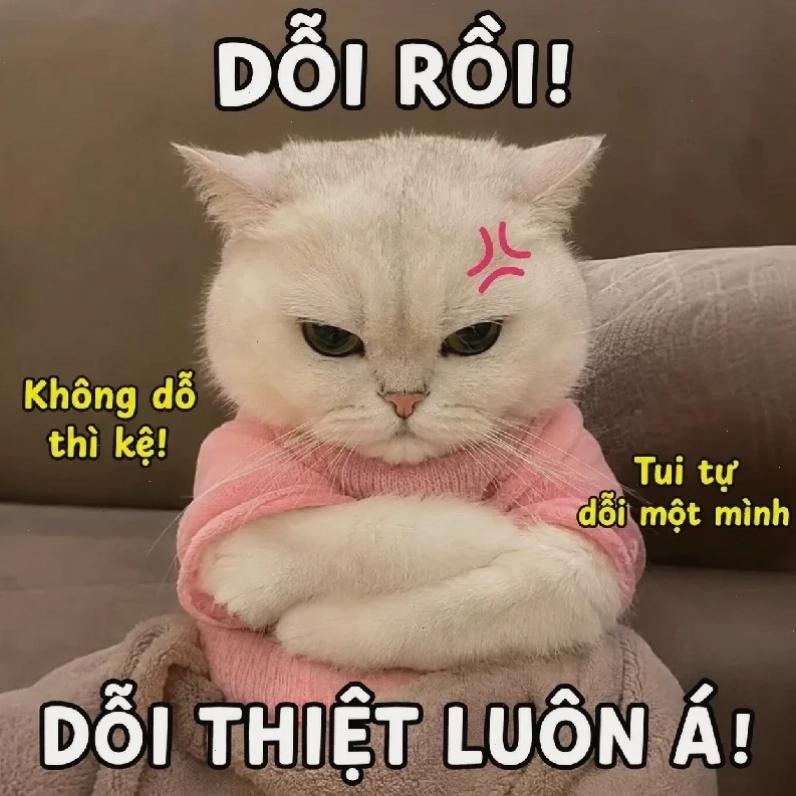 Cún đeo kính râm meme dễ thương cún đeo kính