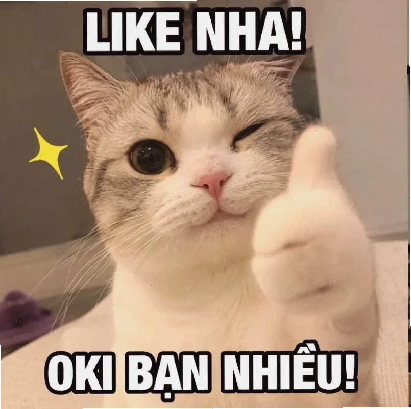 Hamster phồng má meme dễ thương hamster