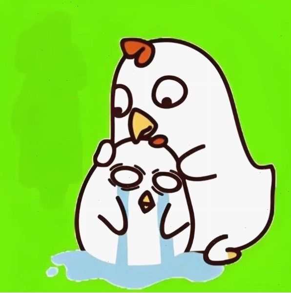 Mèo tri thức meme dễ thương mèo đeo kính