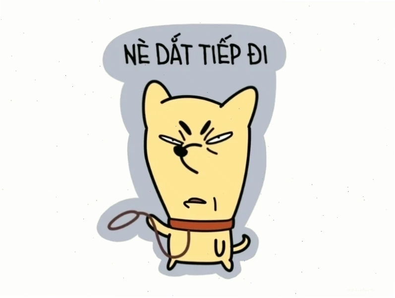Mèo nhăn mặt meme dễ thương mèo giận