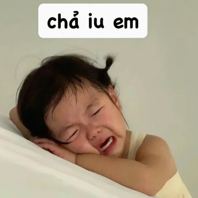 Mèo ngủ ngon meme dễ thương mèo ngủ