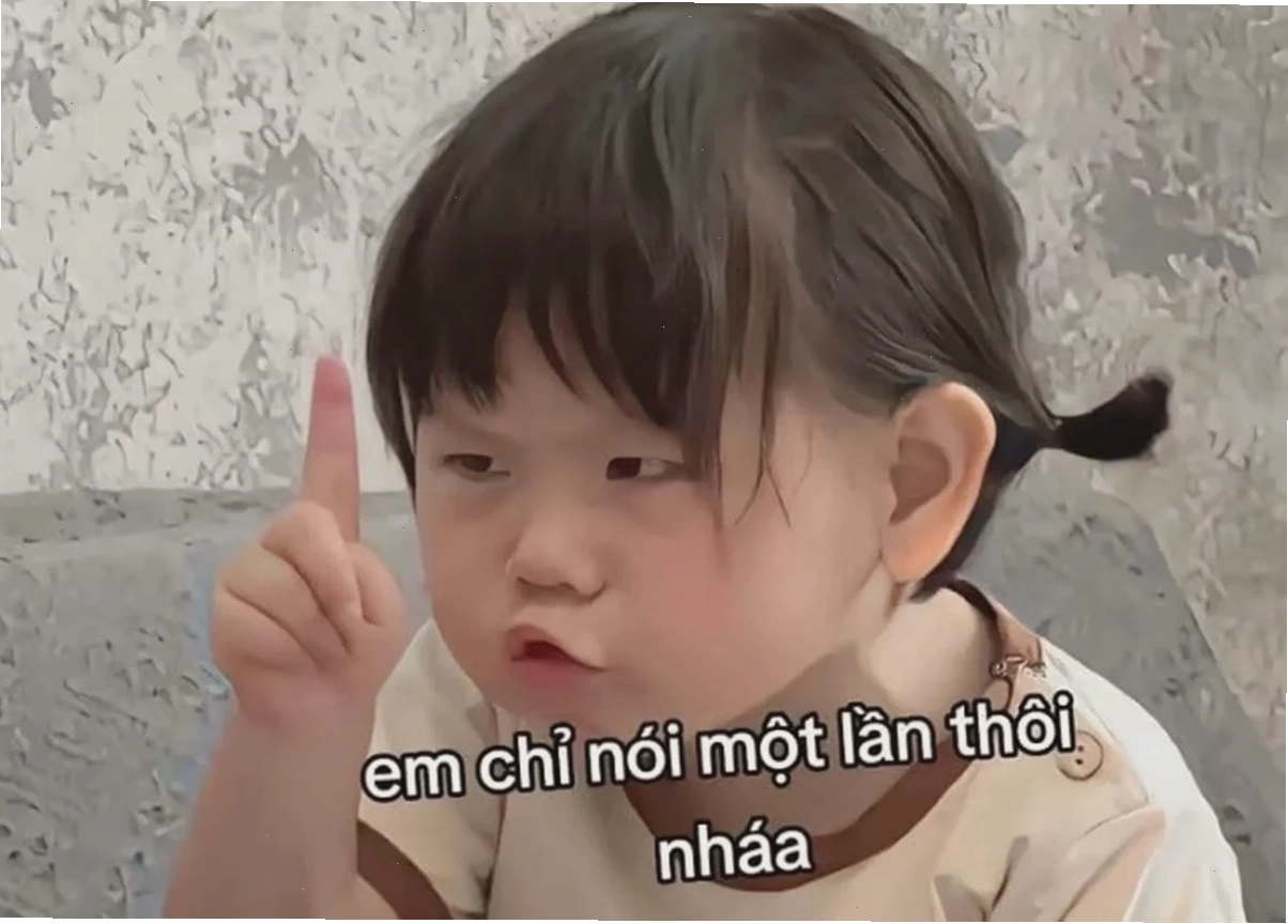 Thú cưng nhảy múa meme dễ thương pet vui nhộn