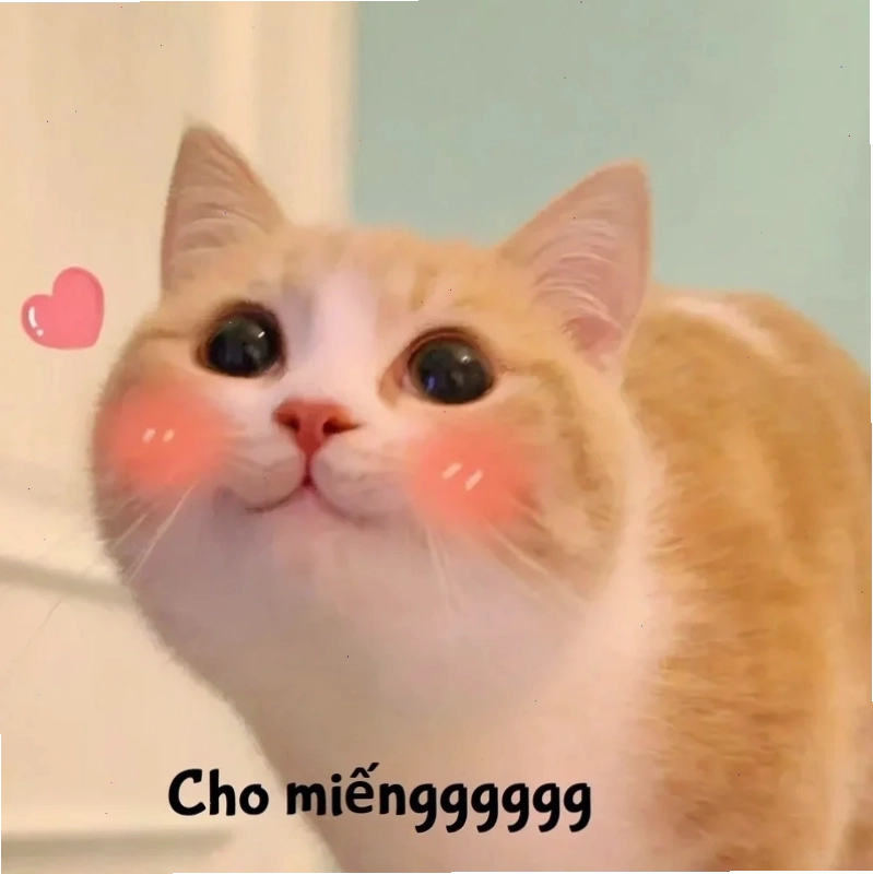 Pikachu cười meme dễ thương pikachu