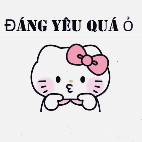 Gấu trúc ăn tre meme dễ thương siêu cute