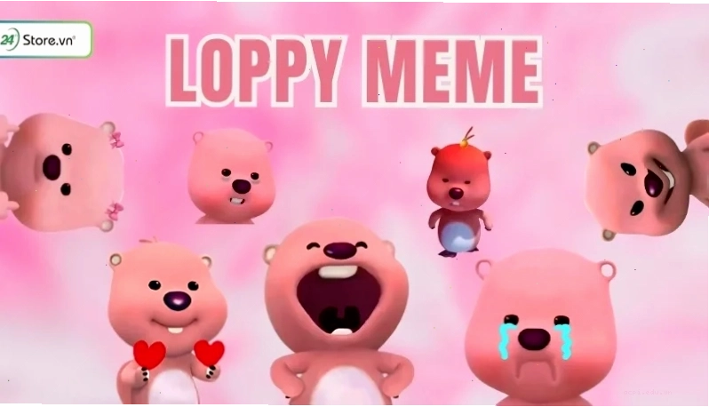 Sóc ăn hạt meme dễ thương sóc nhỏ