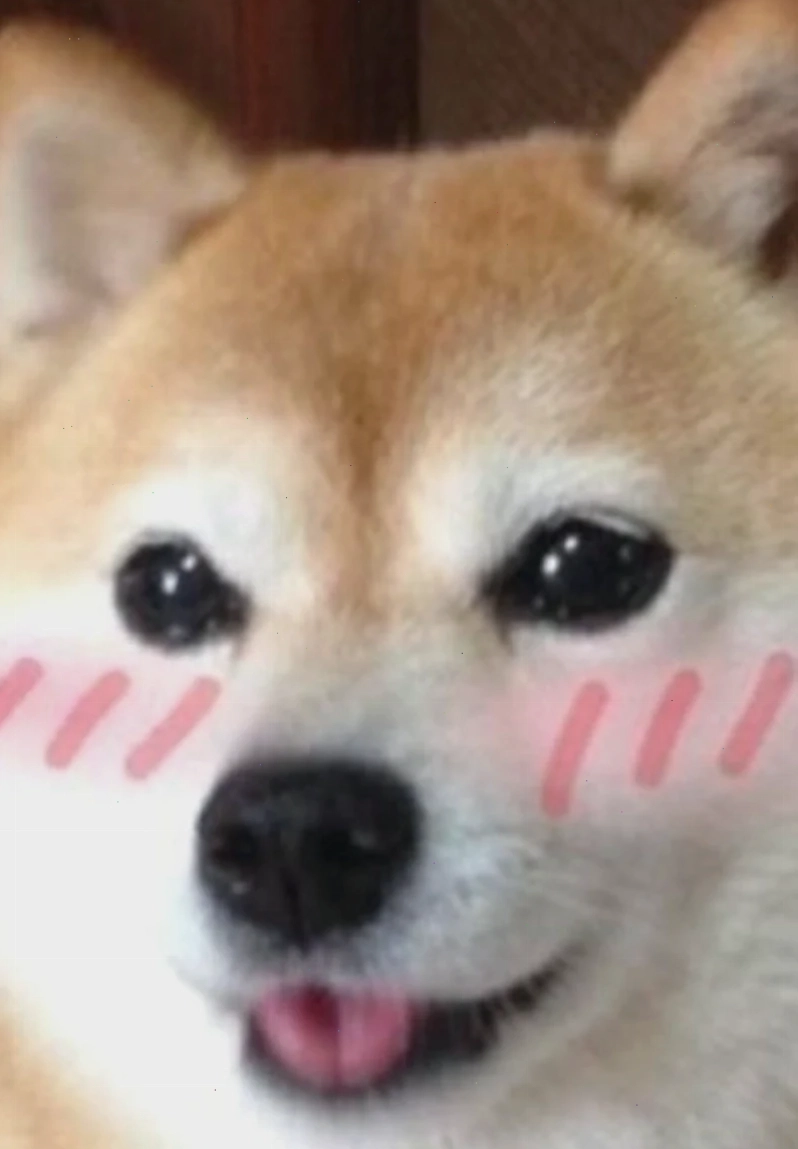 Thỏ ăn cà rốt meme dễ thương thỏ con